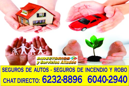 Corrredores_de_seguros_2024_grid.jpg